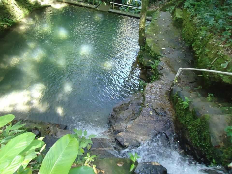 Pousada Terra Do Amor Teresópolis エクステリア 写真